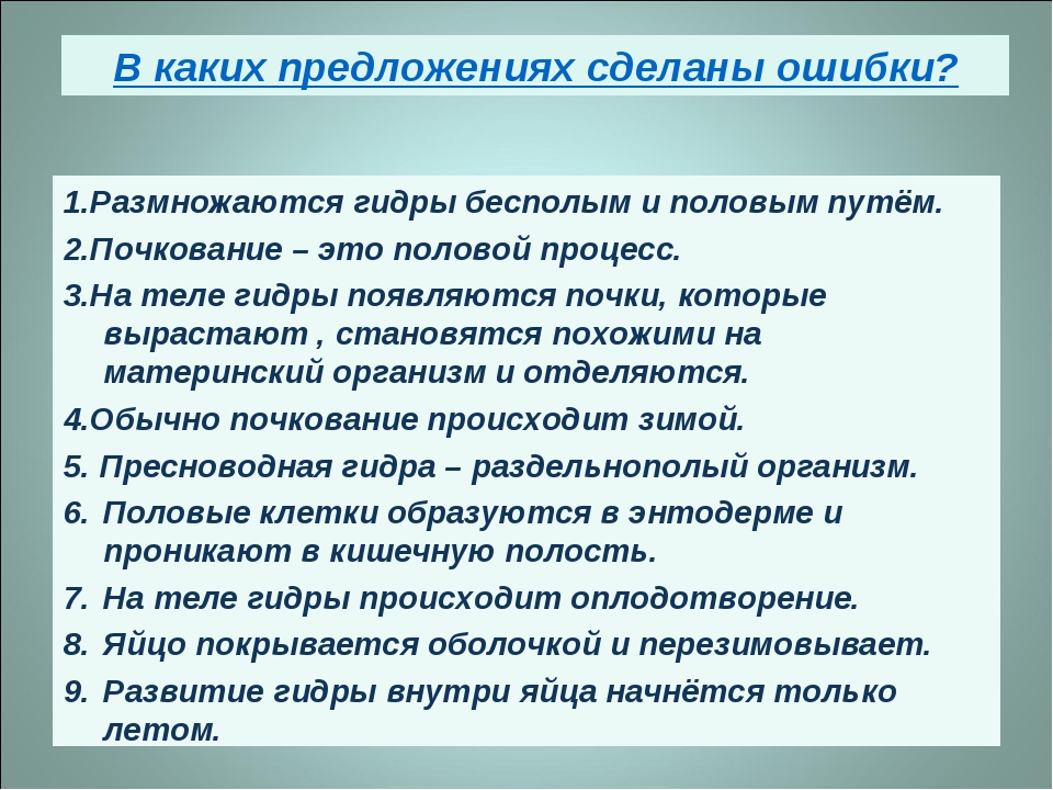 Кракен маркетплейс отзывы