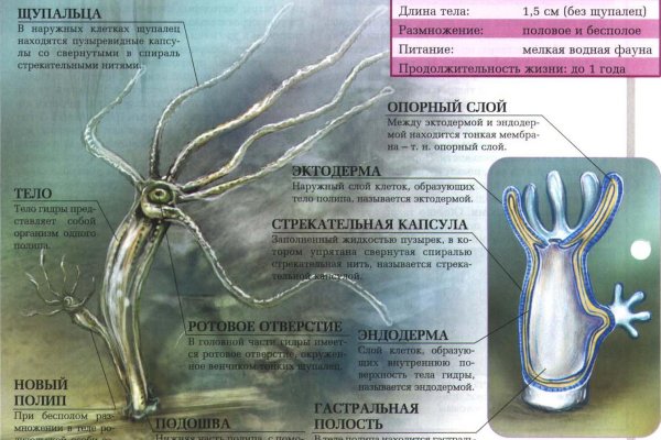 Кракен даркнет kraken link24 info