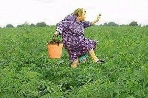 Войти на кракен