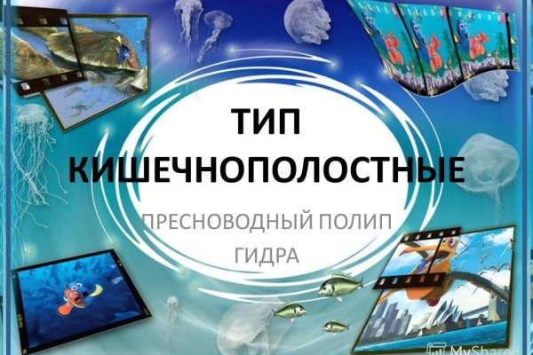 Кракен новый маркетплейс