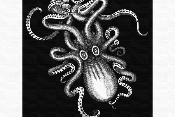 Кракен даркнет ссылка kraken link24 info
